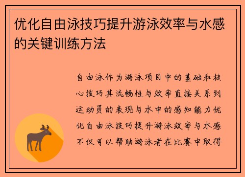 优化自由泳技巧提升游泳效率与水感的关键训练方法